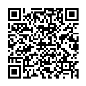 只听气流撞到金丝网发出一阵尖锐的金属撞击之声二维码生成