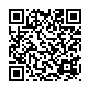 只听那名修为在结丹初期的管理师二维码生成