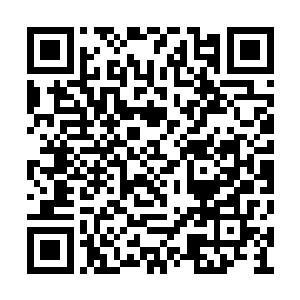 只听那虎蛟大妖王颇有不满之色的向元瞋质问道二维码生成