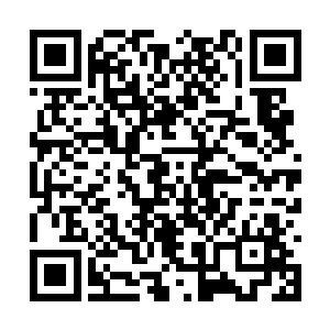 只因为叁仟剑族诞生了一个让他们倍感威胁的人物二维码生成