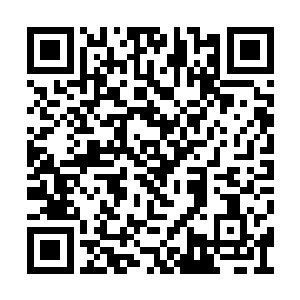 只因为只有张潇晗会在危险的时候拦在他的面前二维码生成