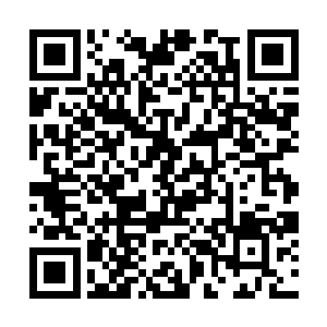 只因为当时过个组织答应给红河集团注入大笔的资金二维码生成