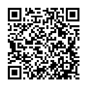 只因为这种通常只有国家级安全部门才能有资格配备的武器二维码生成