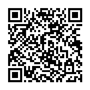 只因他深深了解手下这支以高丽人为主的队伍之特征二维码生成