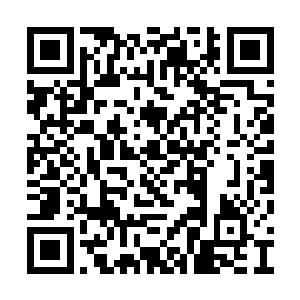 只因她突然感受到留在二哥体内的元气出现异动二维码生成