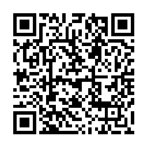 只因孟猊感觉到那辆兰博基尼当中还有一道非常可怕的气息二维码生成