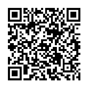 只在一些大型会议的主席台上远远地看见过他几次二维码生成