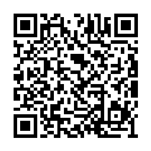 只在兽皮卷上写下了三十个由双方递上来的名字二维码生成