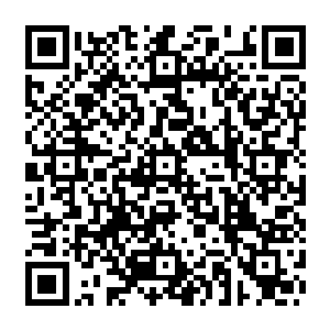 只在潇湘晨报以及其他一些大型报刊杂志的娱乐板块上看到几则关于苏青黛的消息二维码生成