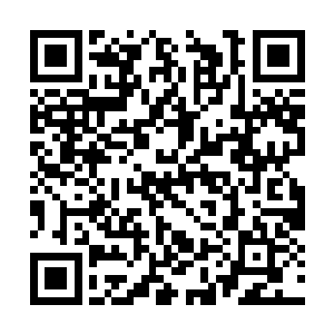只好也直接伸手撕下一块不知道是什么禽类的腿子二维码生成