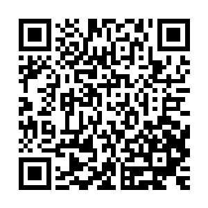 只好将费了一番功夫才清理出来的血蛇肉打包放进了这具棺材里二维码生成