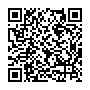 只好把他知道的事情真相给澹台明月详细说了一遍二维码生成