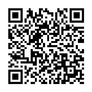 只好眼巴巴的看着火盆中央两姐妹烧烤的那些蔬菜吞口水二维码生成