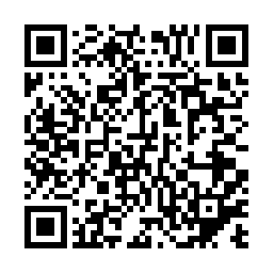 只好默默地回头看了看刚刚使出吃奶的力气爬过来的阿宝二维码生成
