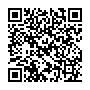 只希望力所能及的留下些种子――进步革新的种子二维码生成