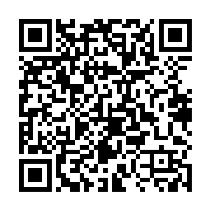 只带这一家子到自己偏殿――就是挂靠龙君主殿仙园里二维码生成