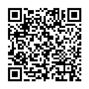 只当是做了件吃喝拉撒睡此等小事的洪洗象啊了一声二维码生成