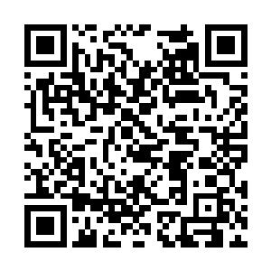 只当是孤岛遗孤和孤岛遗迹守护者之间的恩恩怨怨二维码生成