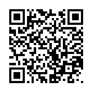 只当没看到谭继之盯着自己探究的目光二维码生成