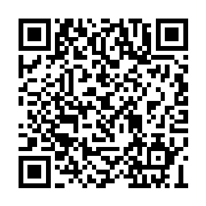 只待后辈有人突破武神就可以前去那个秘境历练二维码生成