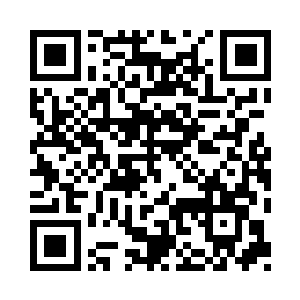 只得将苏澈的袖口裤管都用丝带缠了起来二维码生成