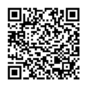 只微微扫了一眼呆若木鸡的冰雪生命和冰与雪之生命们二维码生成