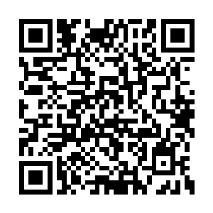 只怕两女真的早已放弃了这个类似折磨的逛商场二维码生成