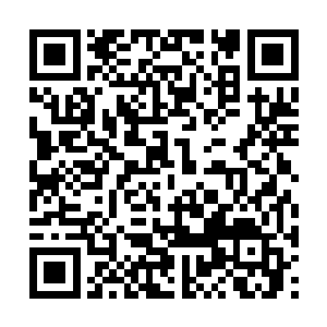 只怕二哥也没那么容易当上如今司马家的族长之位二维码生成