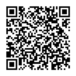 只怕到了欢喜哥的孙子的孙子的孙子的玄孙子那一辈都没有可能等到二维码生成