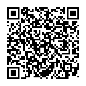 只怕即使是当初的苏醉蝶和柳贵妃容颜最盛的时候也是有所不及的二维码生成