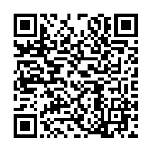 只怕她根本没想到这样一个老妪居然是易容出来的二维码生成