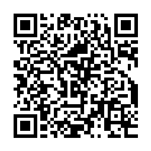 只怕就连界主强者都未必敢轻易用肉身来接他全力斩出的虎魄刀二维码生成