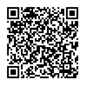 只怕已经不逊于厄尔克斯或者是安利斯塔那种真正不朽强者所发起的攻击了二维码生成