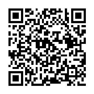 只怕往后会有源源不断的误会啊我的小小姐……二维码生成