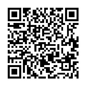 只怕是太难……但若这通天草和大地意识有所关系二维码生成