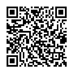 只怕是这僵王洞府的出世与他有着莫逆的关系啊二维码生成