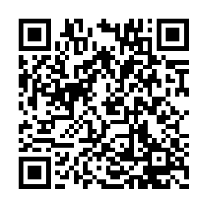 只怕有人要冲上去啃咬下一块血肉来尝尝味道了二维码生成