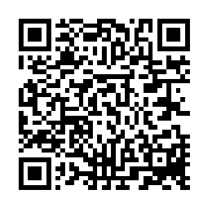 只怕未必愿意冒着丢更大脸的风险去杀个回马枪跟杨晨死磕二维码生成