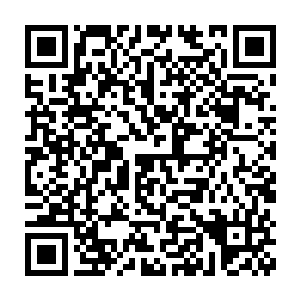 只怕西门世家的心思也像被阳光温暖着的小草一样开始蠢蠢欲动了吧二维码生成