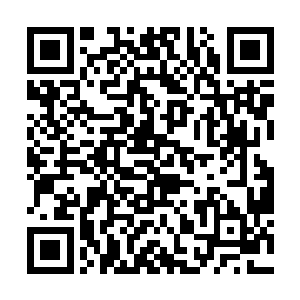 只怕这两个师团最后的下场也只有全军覆没一个下场二维码生成