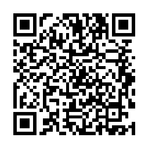 只怕这么好的日子又指不定说出什么晦气的话来添堵二维码生成