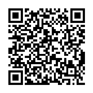 只怕这位团委书记要在秦海基心目中大大失分了二维码生成