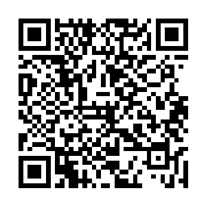 只怕陆书记就要真的向你问罪你推荐的是什么入了二维码生成