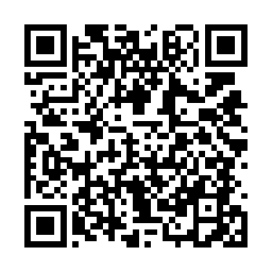 只想着快点过年……嘿嘿……我这一颗少年的心啊二维码生成