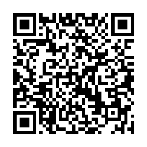 只感受到身后两具怨念极深的尸体直接朝着他扑了过来二维码生成