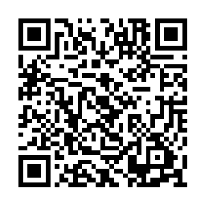 只感觉四周强大的压迫力不知道什么时候消失了二维码生成