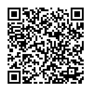 只慵懒窝在一旁喝酒的敖星星见自己那蠢妹妹竟是半晌都没弄明白怎么回事二维码生成