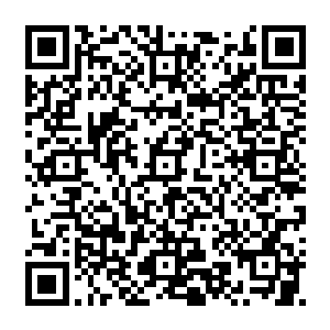 只打算弄出一套语言教学方案好方便教孩子的严默对这一深远影响还什么都不知道二维码生成