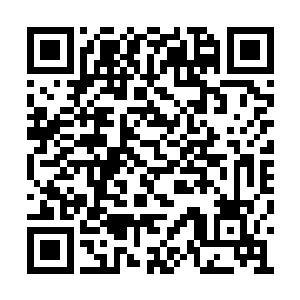 只找到五块孕育诞生在虚空裂缝中的空灵晶而已二维码生成