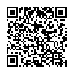 只把刚才被她收集了一次的羽毛上的黄心的血迹都收集了二维码生成